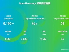 OpenHarmony社區(qū)繁榮：2024年前10月共獲1341萬行代碼貢獻(xiàn)！