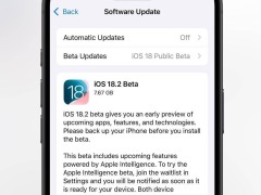 苹果新系统公测启动：iOS 18.2、iPadOS 18.2与macOS 15.2 Sequoia齐亮相！