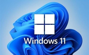 Win 11 24H2新版本问题曝光：Alt+Tab切换遇黑屏，延迟长达10秒！