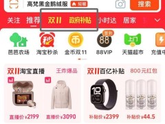 双11十六载，品牌盛宴依旧，消费力向何方？