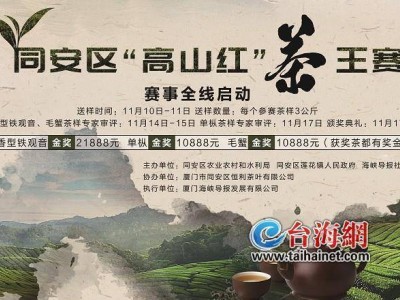 2024年同安高山红茶王争霸赛即将拉开帷幕，茶农备战忙！