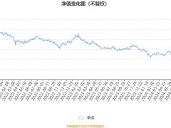 西部利得港股通新机遇混合A三季报出炉：利润增，净值涨，重仓股有哪些？