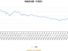 国联安新蓝筹红利基金三季报：利润亏损，净值增长率却超12%？