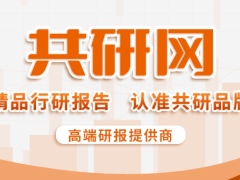 4D打印：未来制造新趋势，2024全球及中国市场发展概览