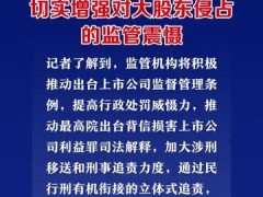 交易所亮剑，切实增强对大股东侵占的监管震慑