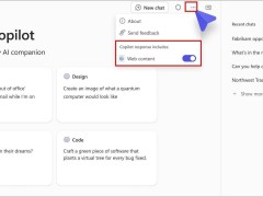微軟Copilot新功能來襲：AI聊天可自主控制是否啟用網絡搜索