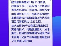 我国首个百万千瓦级海上光伏项目并网