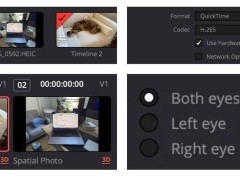 達芬奇視頻編輯軟件新突破，DaVinci Resolve 19.1版本支持蘋果空間視頻編輯功能