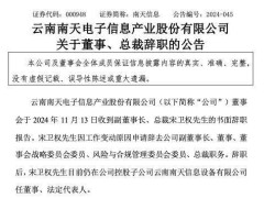 南天信息高层变动：宋卫权辞任副董事长及总裁，仍留任子公司董事