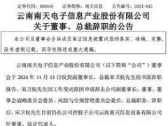 南天信息高层变动：宋卫权辞任副董事长总裁，仍保留子公司董事职务