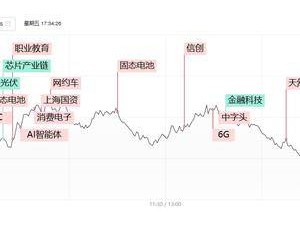 科創(chuàng)50指數(shù)大跌近4%，半導體與大金融板塊回調(diào)，AI應用端卻逆勢上漲