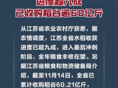 江苏水稻收获进度超九成 已收购稻谷逾60亿斤