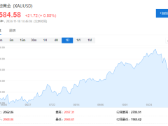 回调面前，高盛不动摇：2025年继续做多黄金，3000美元目标不变！