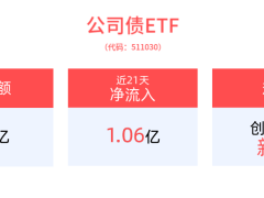 债市波动中寻机遇，平安债券ETF三剑客表现抢眼，规模创新高