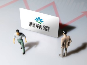 新希望集团拟增持民生银行股份 持股比例将突破5%