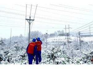 四川广元：特巡高海拔山区电力线路 保冰雪天气用电安全