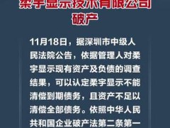 深圳中院宣告柔宇显示技术有限公司破产