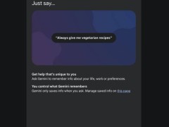 谷歌Gemini新增“记忆”技能，AI助手变身个性化服务专家