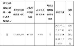 昔日甘肃首富阙文彬再陷债务危机，新里程1.72亿股股份遭二次法拍