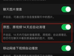 微信新功能：原圖原視頻14天后自動(dòng)清，聊天記錄存儲(chǔ)不再愁？