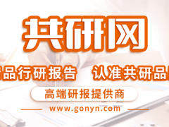 肉桂酸钾市场深度解析：2024-2030年供需趋势与投资前景展望