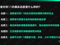 挖掘了百万数据，我们弄清了消费者对双11的真实看法