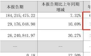 安靠智电财务违规遭责令改正，前三季营收净利双下滑