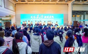 长沙动漫艺术展：300幅佳作汇聚，共绘湖湘文化新篇章！