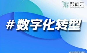 数字产业化浪潮下，这些企业如何以技术创新引领产业升级？