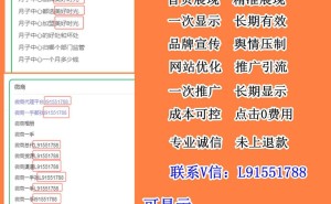 百度下拉框营销新纪元：下拉词优化软件如何助力品牌腾飞？