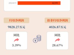 拐點已至 東軟集團FY24業績顯著提升