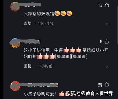 网友评论截图