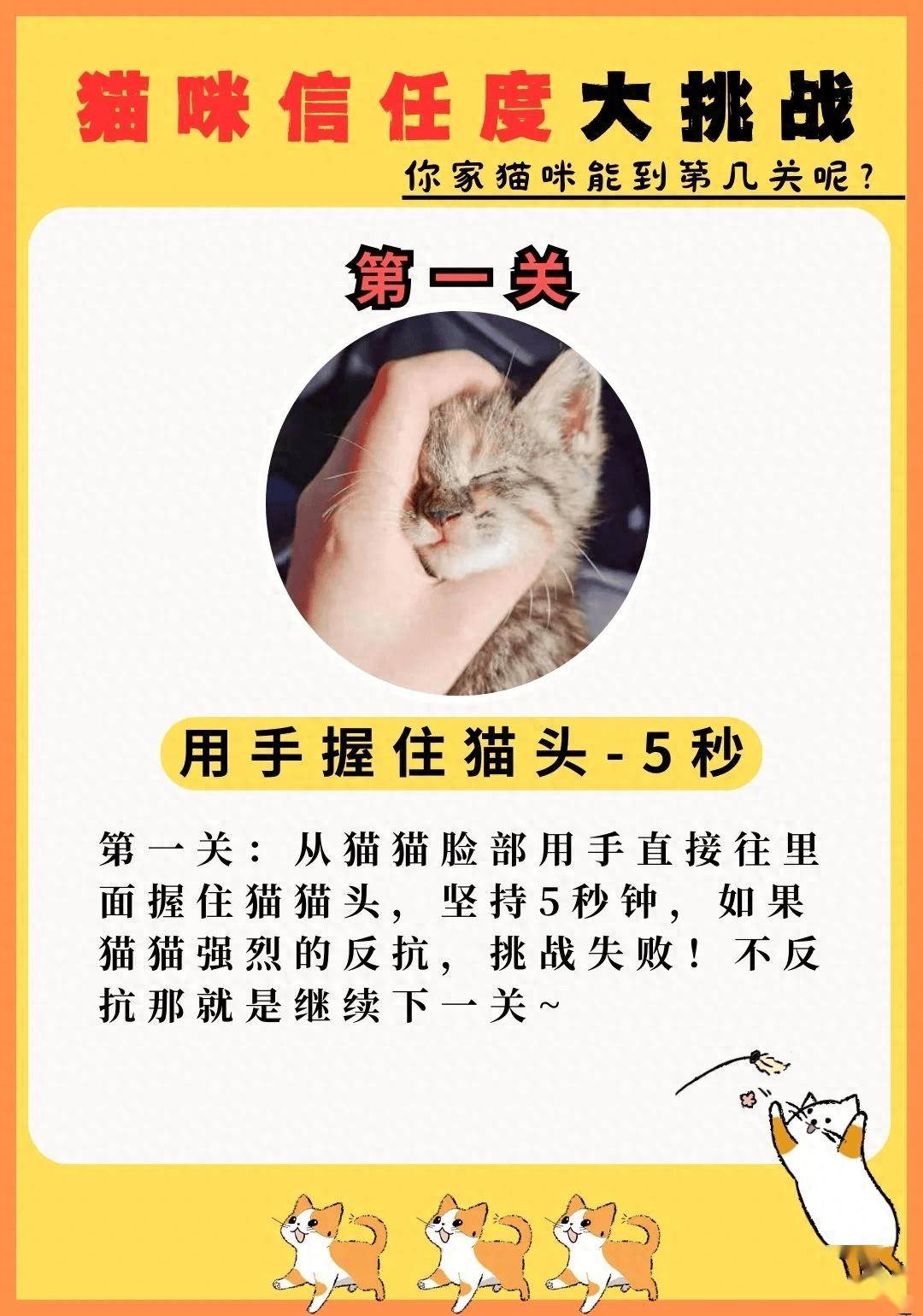 猫咪享受握手瞬间