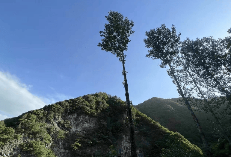 排名榜单