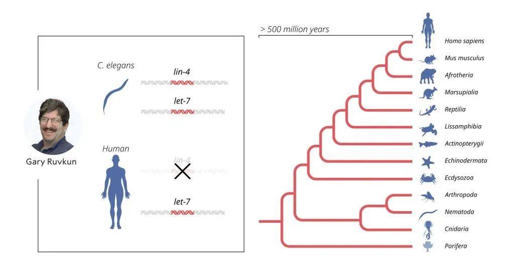 科学突破图