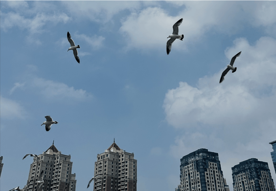 大连理工大学学科排名图示