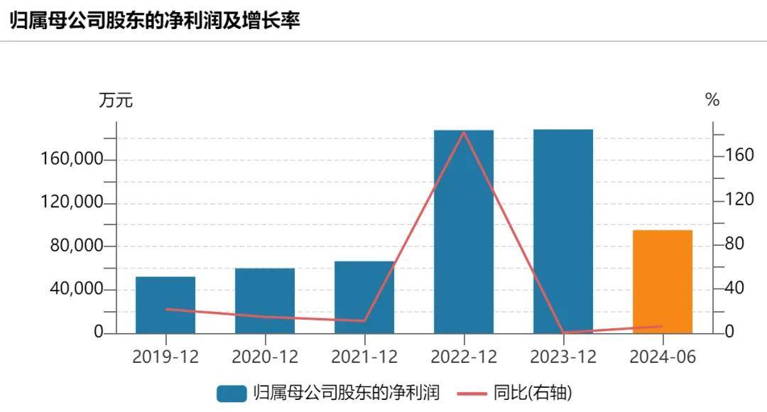 爱玛科技财务数据图表