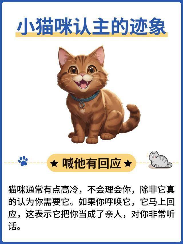 猫咪回应呼唤