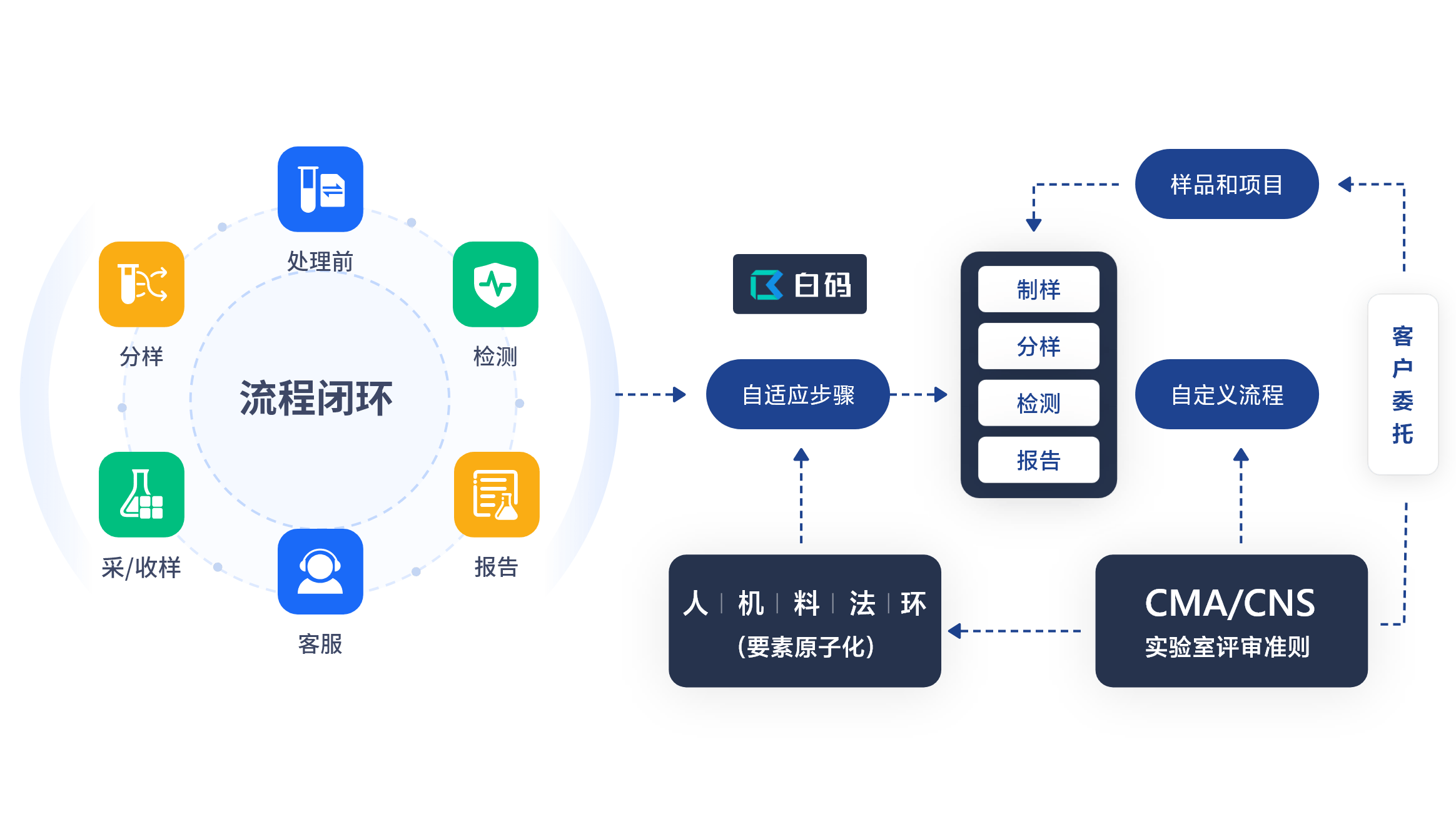 实验流程优化示意图