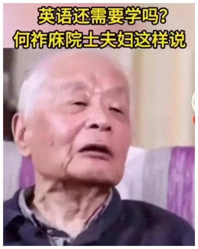 何祚庥老院士发言图片