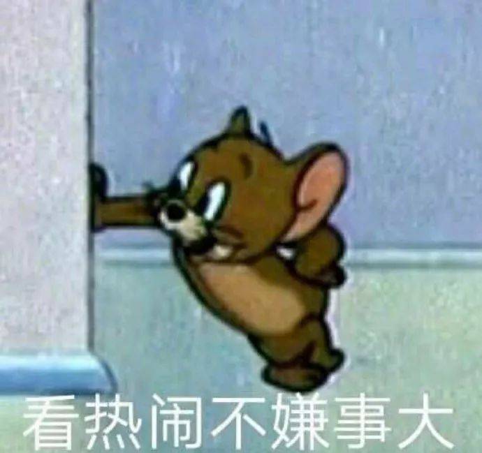 丑猫大赛照片