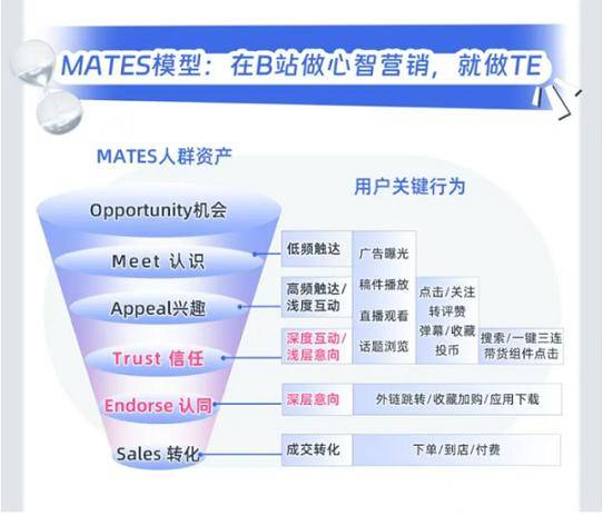 MATES模型示意图