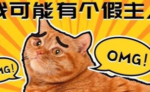 春节返乡猫咪咋办？这份留守攻略请收好！