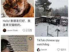 TikTok难民涌入小红书，英语对话成新风尚，话题浏览量破六千八百万