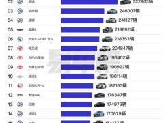 2024中国燃油车销量TOP20：日产轩逸领跑，国产车强势崛起！