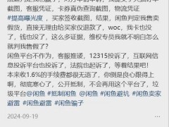 闲鱼遭羊毛党围攻，还能悠闲多久？