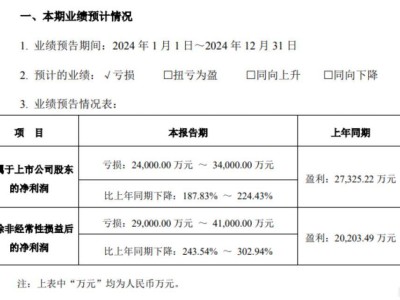 冰川网络2024年由盈转亏，海外扩张成本高企，Q4能否成翻盘关键？