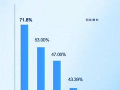 比亚迪领跑2024汽车出口：整车出口超43万辆，新能源领域大放异彩