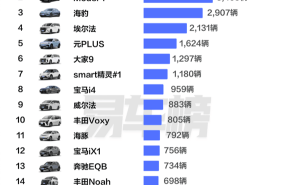 香港私家车销量Top20出炉：特斯拉双雄领跑，比亚迪海豹紧追其后