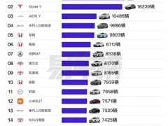 北上廣2024年汽車銷量王出爐！特斯拉Model Y獨占鰲頭